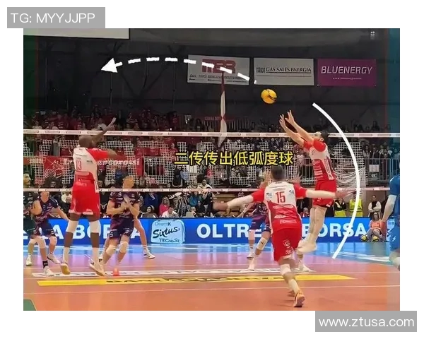 武汉排球队战术解析与对比深度剖析球队表现与未来发展潜力